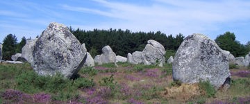 Carnac Stones