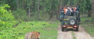 Eco tour: For The Love Of Taj & Tiger - Golden Triangle With Ranthambore With 3 Tiger Safaris (India)