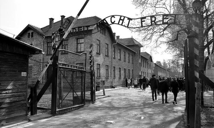 Auschwitz Guided Tour from £56.47 | Travel with Exploriada