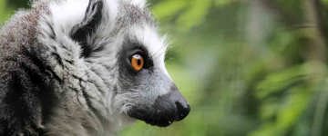 Holiday & Tours In Madagascar