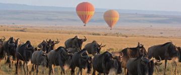 5 Days Masai Mara And Amboseli Safari (Kenya)